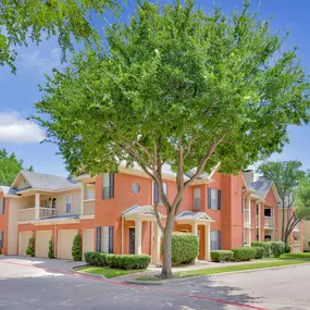 Outdoor area with a huge tree