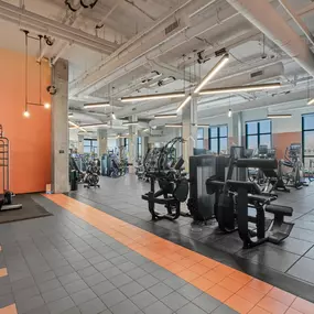 Gym with weightlifting equipments