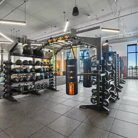 Gym with variety of equipments