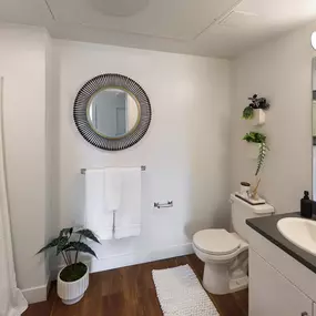 Bathroom with mirror