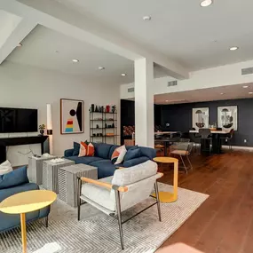 Beautiful living room with TV