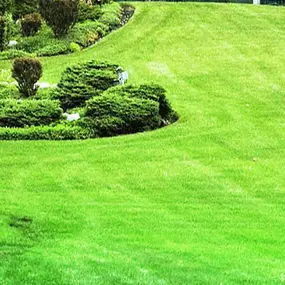 Bild von Martin Epple Garten- und Landschaftsbau