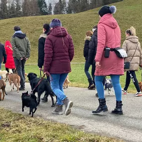 Bild von A-Z-Hundetraining