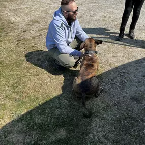 Bild von A-Z-Hundetraining