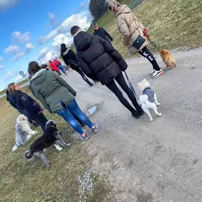 Bild von A-Z-Hundetraining