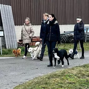 Bild von A-Z-Hundetraining