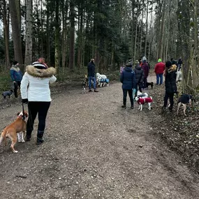 Bild von A-Z-Hundetraining