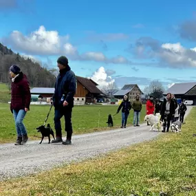 Bild von A-Z-Hundetraining