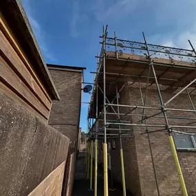 Bild von DGB Scaffolding