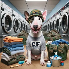 Bild von CIF Cleaning Services & Sales, LLC
