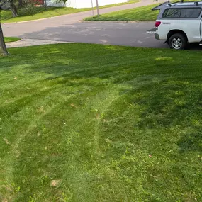 Pristine Lawn Care 1