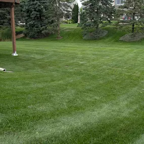 Pristine Lawn Care 10
