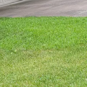 Pristine Lawn Care 11