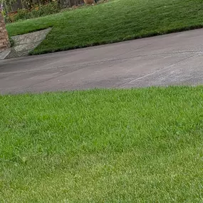 Pristine Lawn Care 12