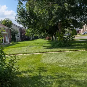 Pristine Lawn Care 3