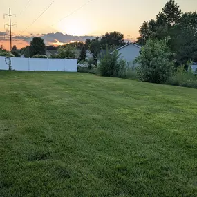 Pristine Lawn Care 5