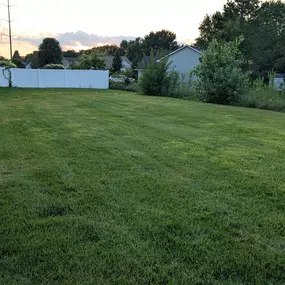 Pristine Lawn Care 6