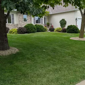 Pristine Lawn Care 7