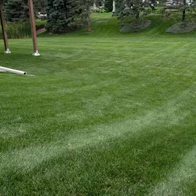 Pristine Lawn Care 9