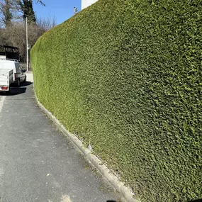 Bild von AMS Dienstleistungen