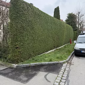 Bild von AMS Dienstleistungen