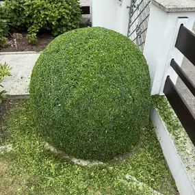 Bild von AMS Dienstleistungen