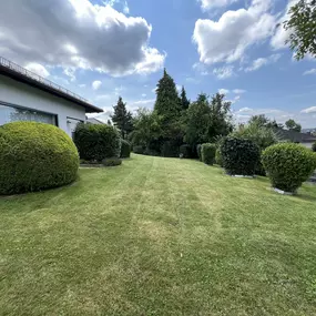 Bild von AMS Dienstleistungen