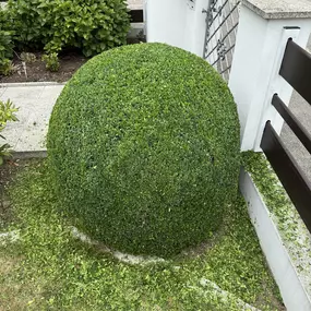 Bild von AMS Dienstleistungen