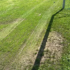 Bild von AMS Dienstleistungen