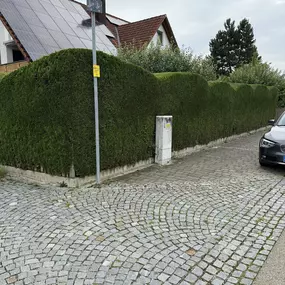 Bild von AMS Dienstleistungen