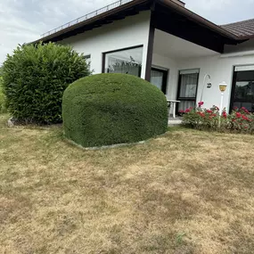 Bild von AMS Dienstleistungen