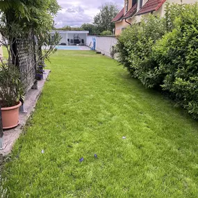 Bild von AMS Dienstleistungen