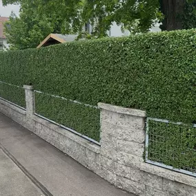 Bild von AMS Dienstleistungen