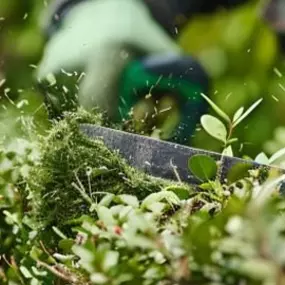 Bild von AMS Dienstleistungen