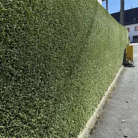 Bild von AMS Dienstleistungen