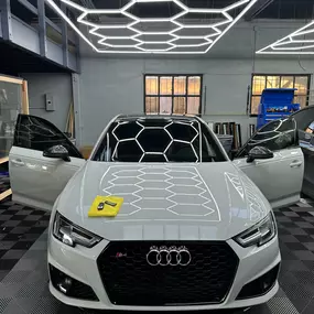 Bild von 360 Tints & Body