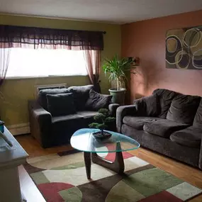 A furnished living room
