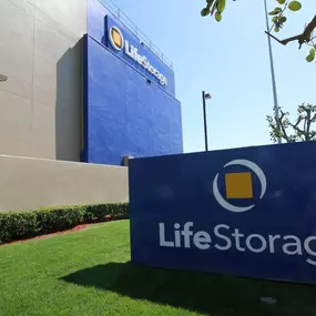 3499_Alternate Beauty Image