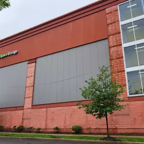 Alternate Beauty Image