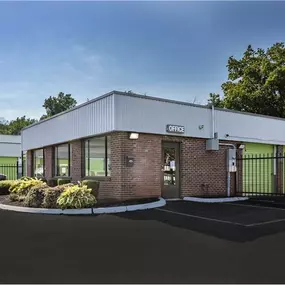 Alternate Beauty Image