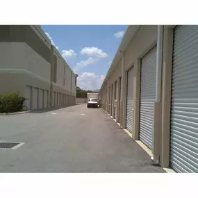 Alternate Beauty Image