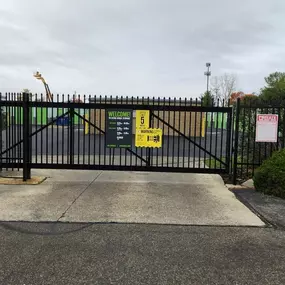 3579_Alternate Beauty Image