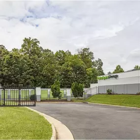 Alternate Beauty Image