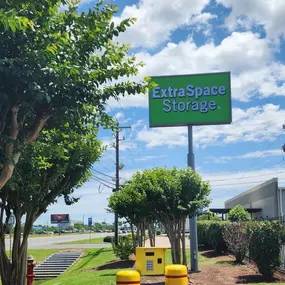 Alternate Beauty Image