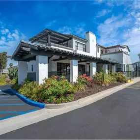 Alternate Beauty Image