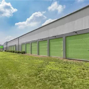 Alternate Beauty Image