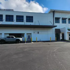 Alternate Beauty Image