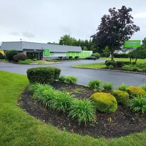 Alternate Beauty Image