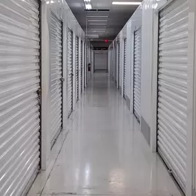 3943_Moving Carts
