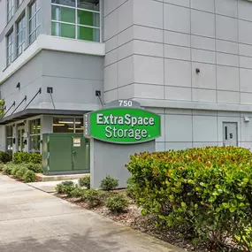 Alternate Beauty Image